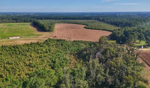 Photo #26 of SOLD property in Off Triple B Lane, Autryville , NC 14.8 acres