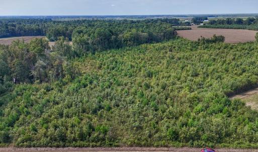 Photo #27 of SOLD property in Off Triple B Lane, Autryville , NC 14.8 acres