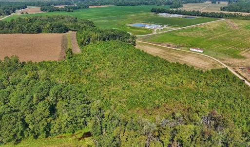 Photo #29 of SOLD property in Off Triple B Lane, Autryville , NC 14.8 acres