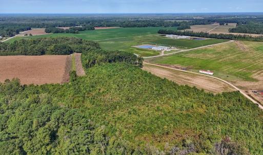 Photo #30 of SOLD property in Off Triple B Lane, Autryville , NC 14.8 acres