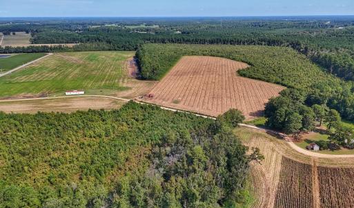 Photo #31 of SOLD property in Off Triple B Lane, Autryville , NC 14.8 acres