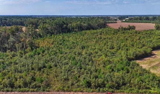 Photo #36 of SOLD property in Off Triple B Lane, Autryville , NC 14.8 acres