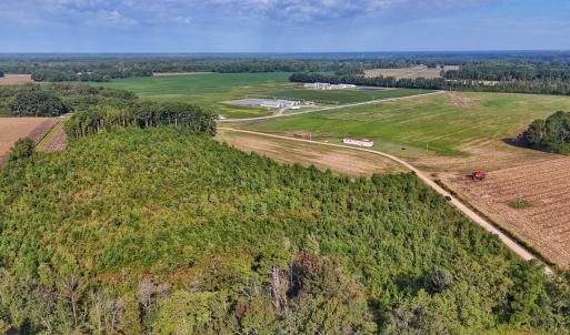 Photo #38 of SOLD property in Off Triple B Lane, Autryville , NC 14.8 acres