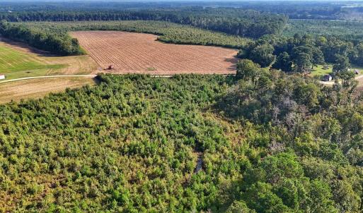 Photo #39 of SOLD property in Off Triple B Lane, Autryville , NC 14.8 acres