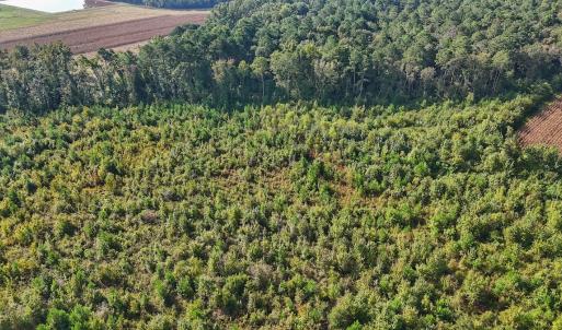 Photo #40 of SOLD property in Off Triple B Lane, Autryville , NC 14.8 acres