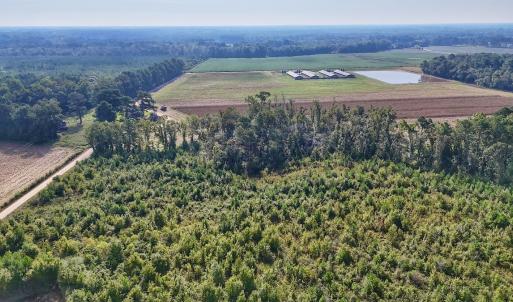 Photo #42 of SOLD property in Off Triple B Lane, Autryville , NC 14.8 acres