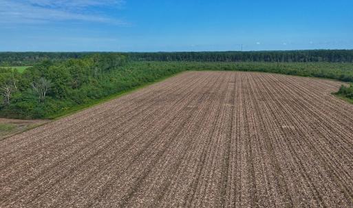 Photo #44 of SOLD property in Off Triple B Lane, Autryville , NC 14.8 acres