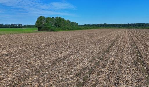 Photo #45 of SOLD property in Off Triple B Lane, Autryville , NC 14.8 acres