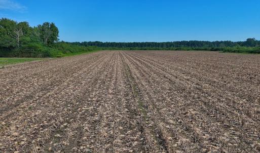 Photo #46 of SOLD property in Off Triple B Lane, Autryville , NC 14.8 acres