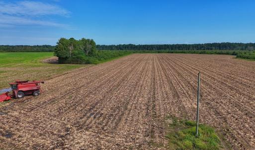 Photo #47 of SOLD property in Off Triple B Lane, Autryville , NC 14.8 acres