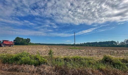 Photo #48 of SOLD property in Off Triple B Lane, Autryville , NC 14.8 acres