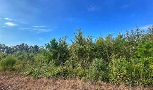 Photo #50 of SOLD property in Off Triple B Lane, Autryville , NC 14.8 acres