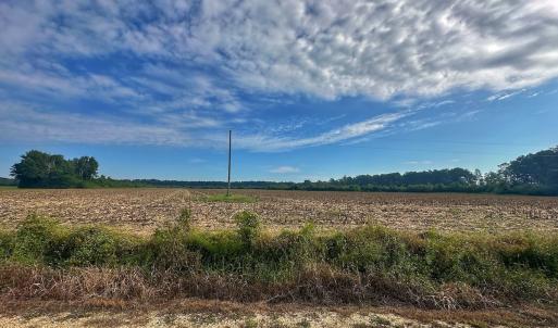 Photo #52 of SOLD property in Off Triple B Lane, Autryville , NC 14.8 acres