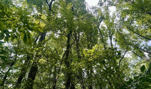 Photo #10 of SOLD property in 1450 Elgin Av , High Point, NC 1.9 acres