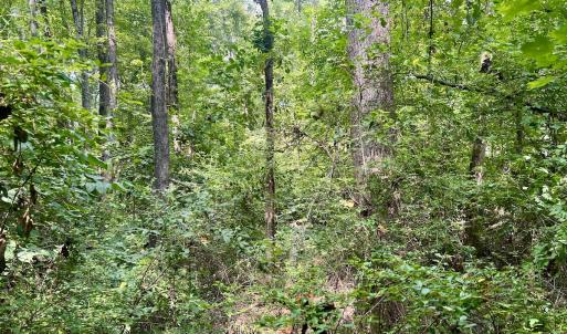 Photo #11 of SOLD property in 1450 Elgin Av , High Point, NC 1.9 acres