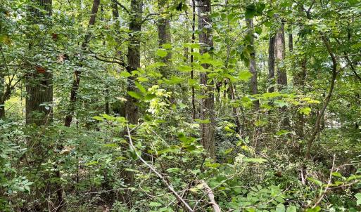 Photo #12 of SOLD property in 1450 Elgin Av , High Point, NC 1.9 acres