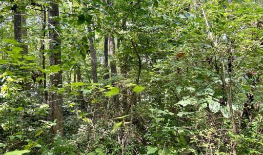 Photo #13 of SOLD property in 1450 Elgin Av , High Point, NC 1.9 acres