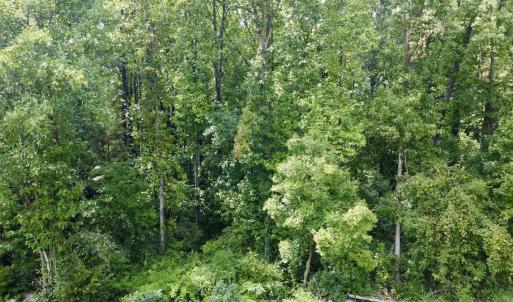 Photo #14 of SOLD property in 1450 Elgin Av , High Point, NC 1.9 acres