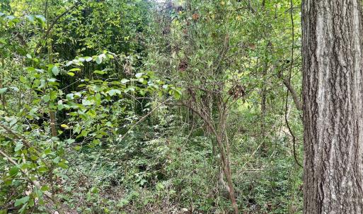 Photo #15 of SOLD property in 1450 Elgin Av , High Point, NC 1.9 acres