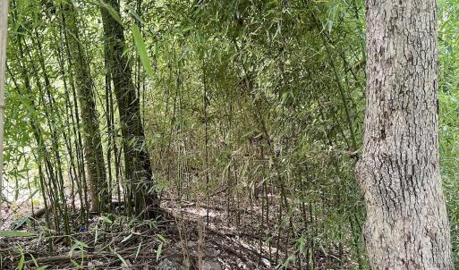 Photo #16 of SOLD property in 1450 Elgin Av , High Point, NC 1.9 acres