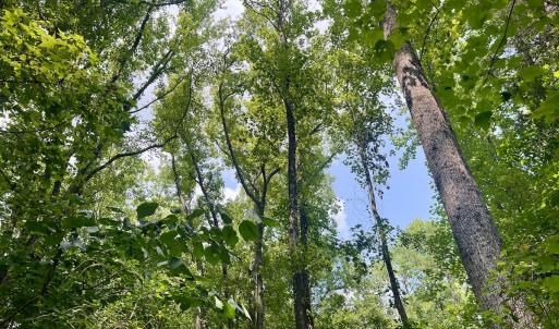 Photo #17 of SOLD property in 1450 Elgin Av , High Point, NC 1.9 acres