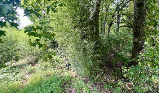 Photo #18 of SOLD property in 1450 Elgin Av , High Point, NC 1.9 acres