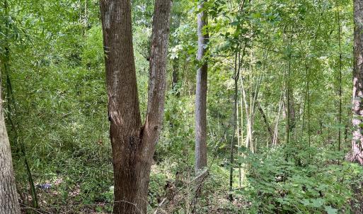Photo #2 of SOLD property in 1450 Elgin Av , High Point, NC 1.9 acres