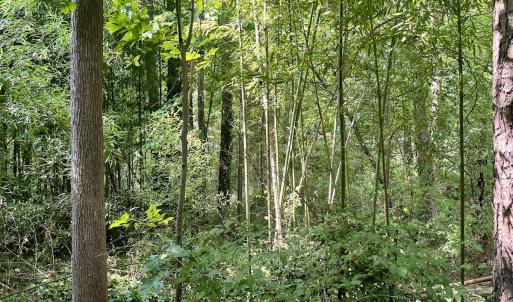 Photo #5 of SOLD property in 1450 Elgin Av , High Point, NC 1.9 acres