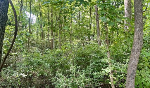Photo #6 of SOLD property in 1450 Elgin Av , High Point, NC 1.9 acres