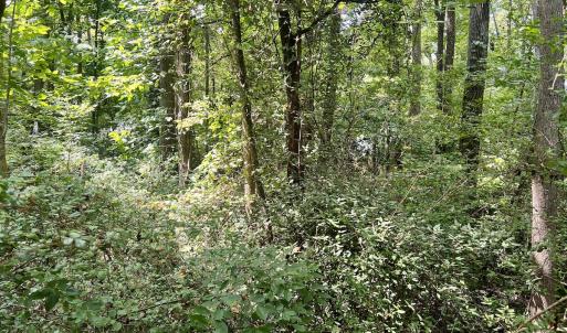 Photo #7 of SOLD property in 1450 Elgin Av , High Point, NC 1.9 acres