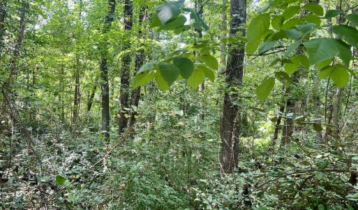 Photo #9 of SOLD property in 1450 Elgin Av , High Point, NC 1.9 acres