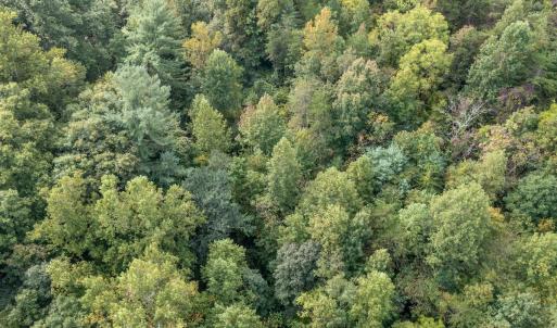 Photo #3 of SOLD property in 1105 Hillsboro Court, Lenoir, NC 0.9 acres