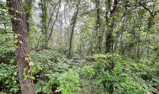 Photo #4 of SOLD property in 1105 Hillsboro Court, Lenoir, NC 0.9 acres