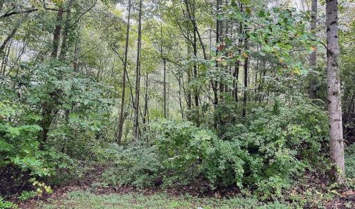 Photo #2 of SOLD property in 212 Buckingham Court, Lenoir, NC 0.9 acres