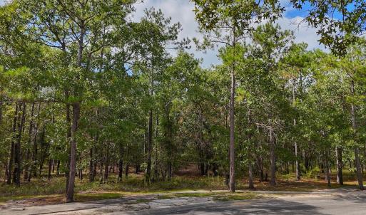 Photo #24 of SOLD property in 2917 N Magellan Blvd SE, Bolivia, NC 0.7 acres