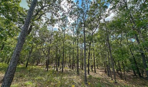 Photo #31 of SOLD property in 2917 N Magellan Blvd SE, Bolivia, NC 0.7 acres