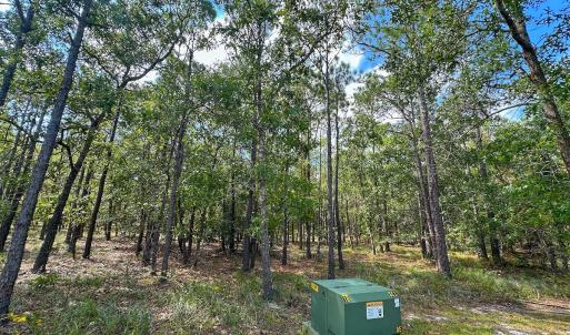 Photo #32 of SOLD property in 2917 N Magellan Blvd SE, Bolivia, NC 0.7 acres