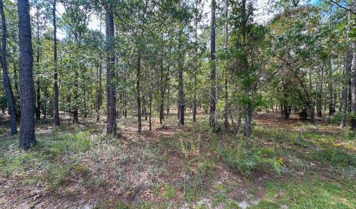 Photo #33 of SOLD property in 2917 N Magellan Blvd SE, Bolivia, NC 0.7 acres