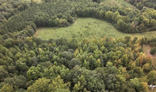 Photo #15 of Off Medoc Mountain Road, Enfield, NC 7.8 acres