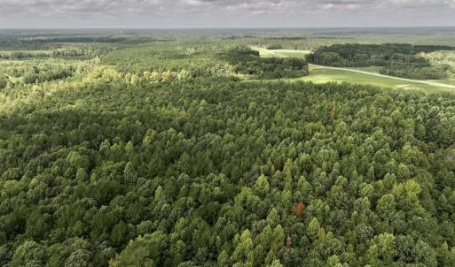 Photo #8 of Off Medoc Mountain Road, Enfield, NC 7.8 acres