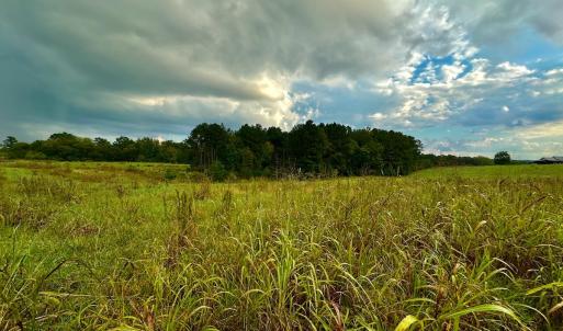 Photo #11 of SOLD property in Off Deer Run Road, Norwood, NC 17.0 acres