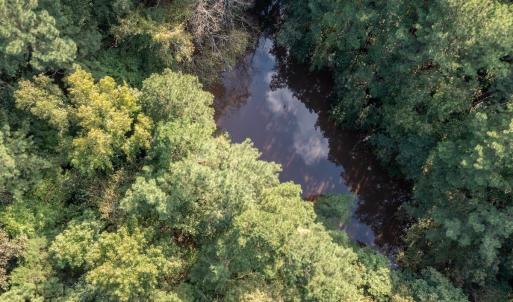 Photo #14 of SOLD property in Off Deer Run Road, Norwood, NC 17.0 acres