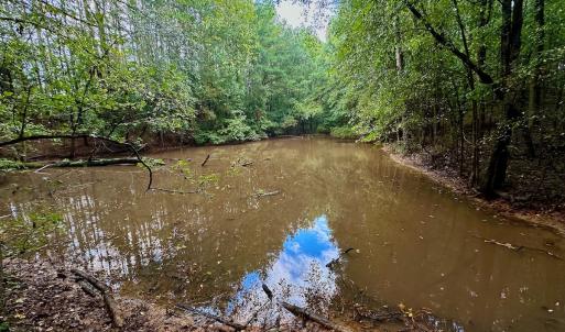 Photo #15 of SOLD property in Off Deer Run Road, Norwood, NC 17.0 acres