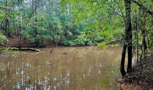 Photo #16 of SOLD property in Off Deer Run Road, Norwood, NC 17.0 acres
