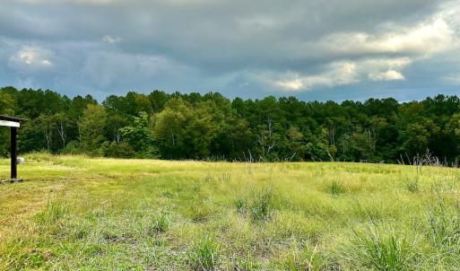 Photo #18 of SOLD property in Off Deer Run Road, Norwood, NC 17.0 acres