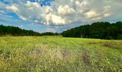 Photo #19 of SOLD property in Off Deer Run Road, Norwood, NC 17.0 acres