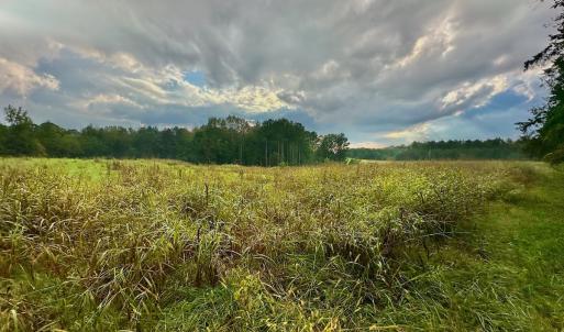 Photo #5 of SOLD property in Off Deer Run Road, Norwood, NC 17.0 acres