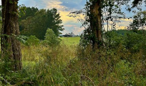 Photo #10 of SOLD property in Off Deer Run Road, Norwood, NC 17.0 acres