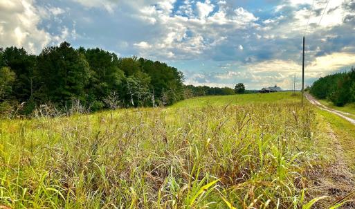 Photo #21 of SOLD property in Off Deer Run Road, Norwood, NC 17.0 acres