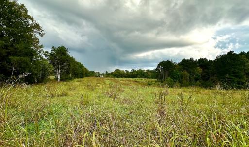 Photo #25 of SOLD property in Off Deer Run Road, Norwood, NC 17.0 acres